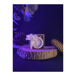 Pinterest Burgu Mum Hediyelik 10'lu | Kına, Söz, Nikah, Babyshower, Doğum Günü | Şeffaf Kutulu