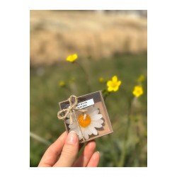 20' li Kraft kutulu Sarı Papatya Mum Hediyelik | Kına, Söz, Nikah, Doğum Günü İçin | Royal Ember