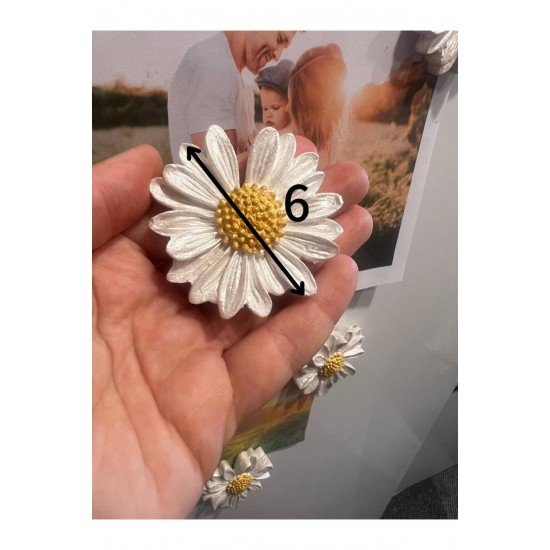 Papatya Magnet, 8li Magnet Seti, Çiçek Magnet, El Yapımı Dekoratif Çiçek Magnet