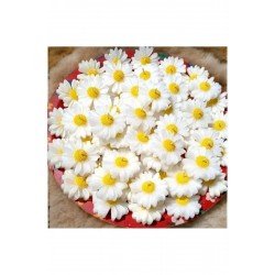 Official Papatya Suda Yüzen Mum Kokulu Mum - 1 Adet