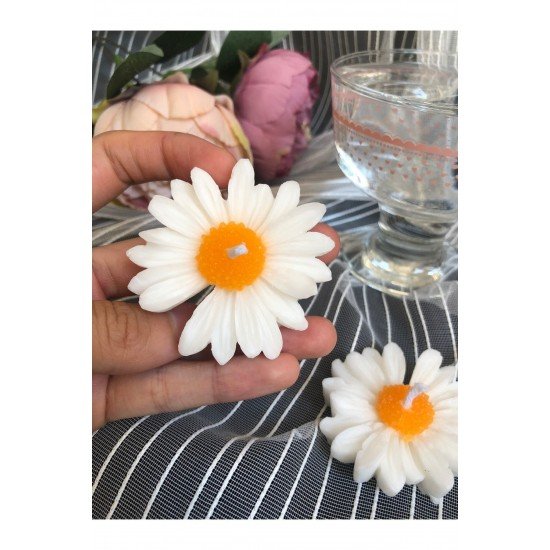 Official Papatya Suda Yüzen 3’lü Set Mum Papatyalı Mum