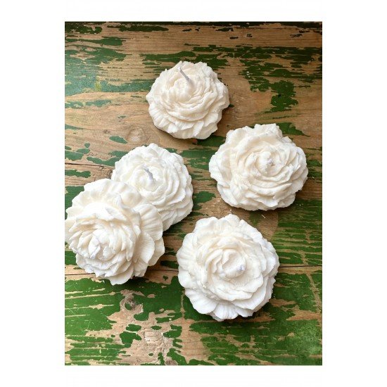 İkili Şakayık Beyaz