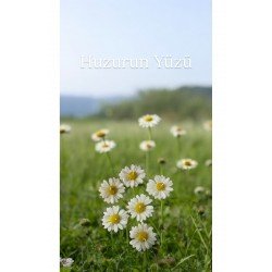 Yüzen mum papatya 1 adet sarı beyaz kokulu mum soya wax parafini