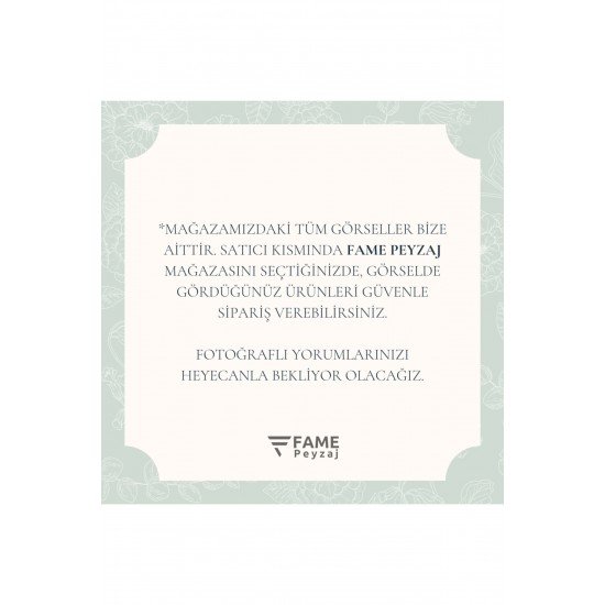 3lü Lotus Çiçeği Dekoratif Tabak & Kase, Hediyelik, Takı Ve Mum Tabağı, Mumluk, Sunumluk, Organizer