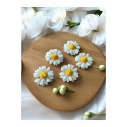 20 Adet Kutusuz Papatya Mum, Nikah Şekeri, Doğum, Sünnet, Düğün Nişan Söz, Kına, Doğum Günü