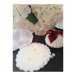 Istiridye Mum Bordo 20 Adet