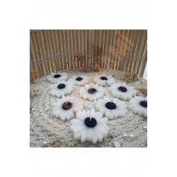 Papatya Mum Mavi Nişan, Nikah, Doğum Günü, Özel Gün - 10 Adet