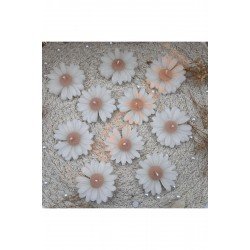 Pinterest Papatya Mum A.Kahve Nişan, Nikah, Doğum Günü, Özel Gün - 10 Adet