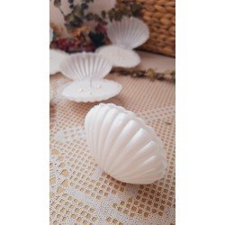 Pinterest Istiridye Kutulu Mum 10 Adet