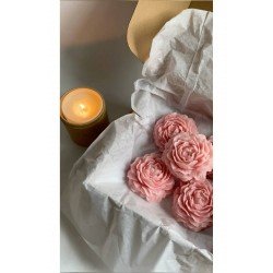 Rchome 3 Adet Pembe Kokulu Şakayık Soya Wax Mum