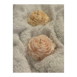Şakayık Mum 2’li Set, Gül Mum
