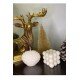 2'li Dekoratif Mum Seti Beyaz Renk Istiridye Ve Bubble Set