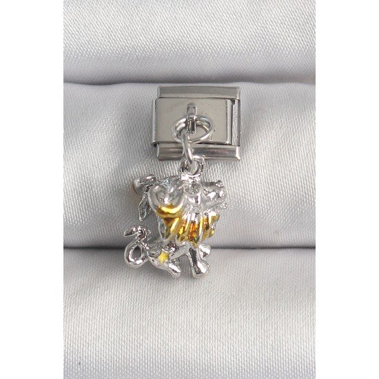 Özel Çelik Renk Sallantı Aslan Model Nomination Charm Fırsat!!!