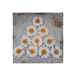 Papatya Mum Sarı Nişan, Nikah, Doğum Günü, Özel Gün - 10 Adet