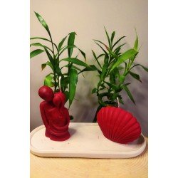 Sarılan Çift ve Midye Detaylı Sunum Tabağı İçinde %100 Soya Wax Dekoratif Hediyelik 3'lü Mum Seti