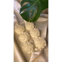 6'lı Gül Vegan Mum