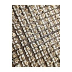 Bernamiofficial Bubble Mum Hediyelik 20adet