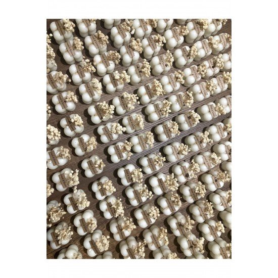 Bernamiofficial Bubble Mum Hediyelik 20adet