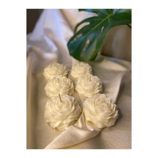 6'lı Gül Vegan Mum