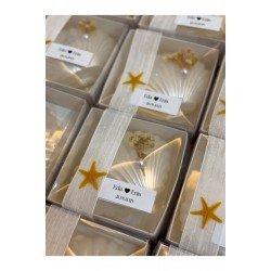 İnci Detaylı İstiridye Kutulu Deniz Kabuğu Mum Nişan Düğün Nikah Hediyelik Etiketli 15 Adet