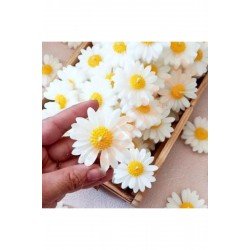 Bernami Papatya Mum - 30 Adet