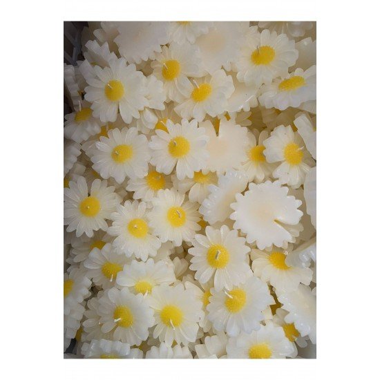 15 Adet Kraft Kutulu Papatya Mum Hediyelik, Nişan, Düğün, Sünnet, Söz, Kına, Doğum Günü