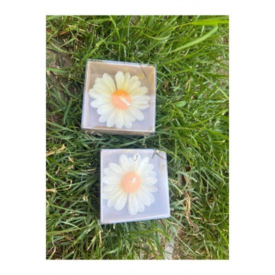 15 Adet Kraft Kutulu Papatya Mum Hediyelik, Nişan, Düğün, Sünnet, Söz, Kına, Doğum Günü