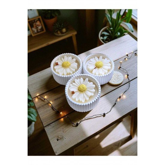 3'lü Papatya Mum Seti