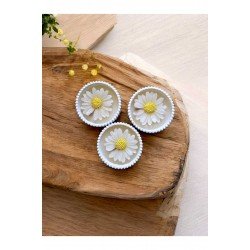 3'lü Papatya Mum Seti