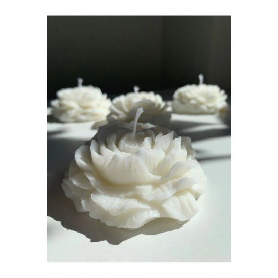 Bernami Yüzen Şakayık Mum Kokulu 3 Adet