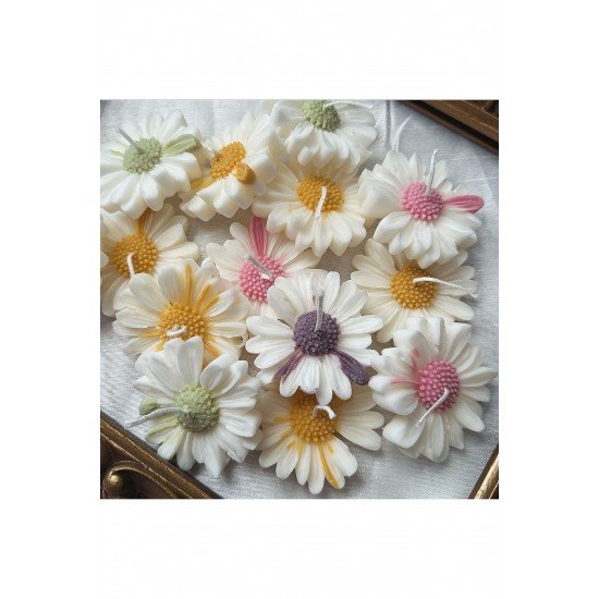 Karışık 6’lı Papatya Seti