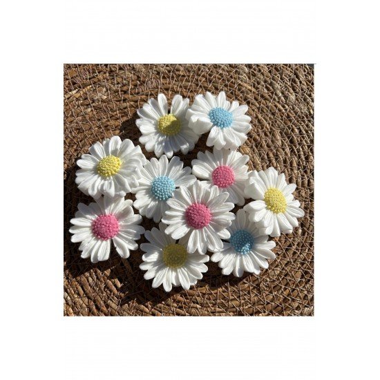 Karışık 6’lı Papatya Seti