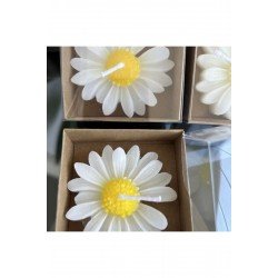 Bernami 24 Adet Papatya Mum Hediyelik Nişan, Nikah, Söz, Doğumgünü, Doğum