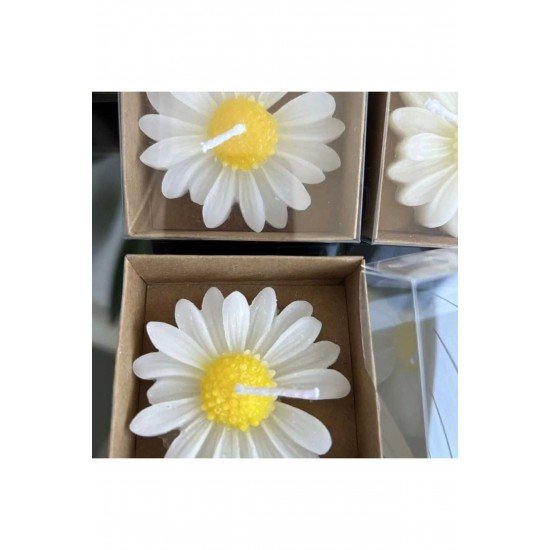 Bernami 24 Adet Papatya Mum Hediyelik Nişan, Nikah, Söz, Doğumgünü, Doğum