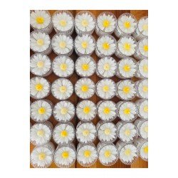 Dekoratif Mum Papatya Mika Şekerlik 10 ADET