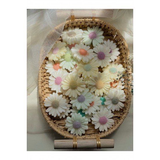 Karışık 6’lı Papatya Seti