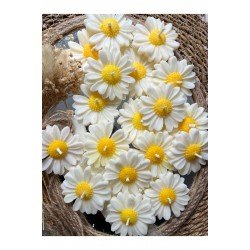 25 Adet Özel Tasarlanmış Kart Ve Papatya Mum. Bebek Doğum, Babyshower, Doğum Günü, Hediyelik