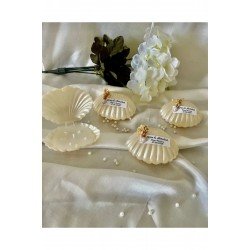 Bernami 10 Adet Istiridye Kutu Mum