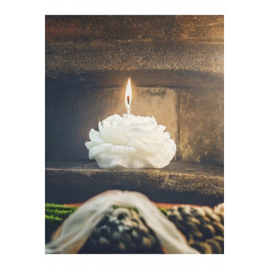 Bernami Hediyelik Kokulu Şakayik Desen Mum - 5 Adet