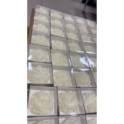 Bernami Şakayık Model Sade Asetat Kutulu Nişanlık Söz Nikah Düğün Hediyelik - 20 Adet