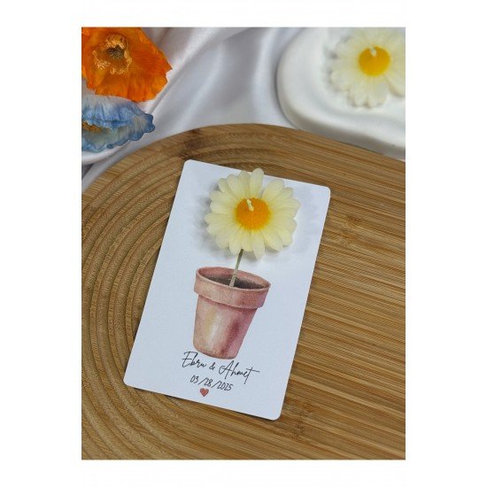 20 Adet Kartlı Papatya Mum