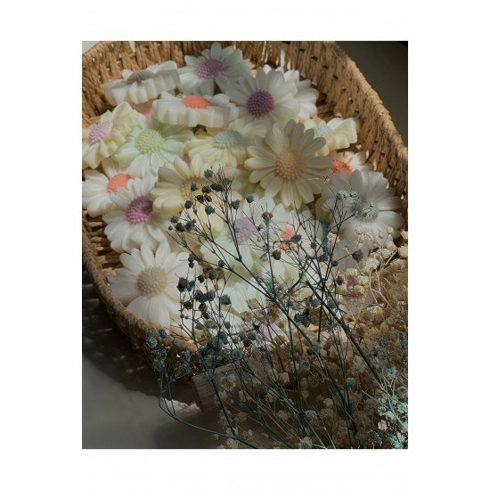 Karışık 6’lı Papatya Seti