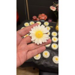 25 Adet Özel Tasarlanmış Kart Ve Papatya Mum. Bebek Doğum, Babyshower, Doğum Günü, Hediyelik