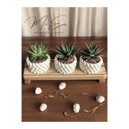 Estevia 3'lü Dekoratif Örgü Tasarım Taş Tozu Mini Saksı - Boş Sukulent Saksısı