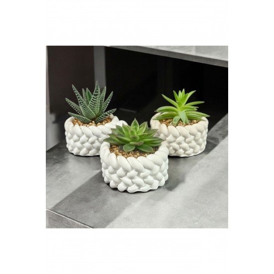 Estevia 3'lü Dekoratif Örgü Tasarım Taş Tozu Mini Saksı - Boş Sukulent Saksısı