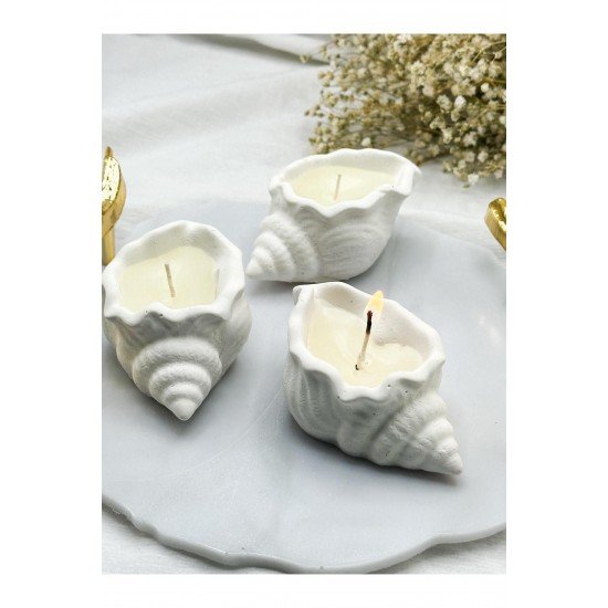 Estevia 5 Adet Kokulu Deniz Kabuğu İstiridye Mum