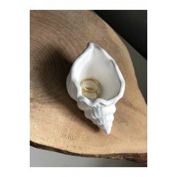 Istiridye/deniz Kabuğu Dekoratif Tabak/takı Organizeri/beton Obje