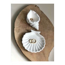 Deniz Kabuğu Ve Istiridye Set Beyaz