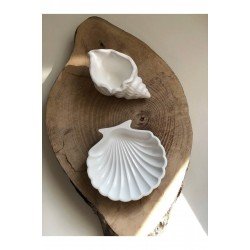 Deniz Kabuğu Ve Istiridye Set Beyaz