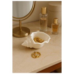 Dekoratif deniz kabuğu aksesuarlık biblo